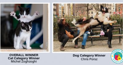 Comedy Pet Photo Awards announce 2023 winners